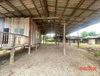 listing thumbnail image 27