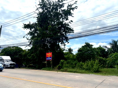 Land for sale Nakhon Pathom : Owner Direct Sale – Land for Sale on Tha Talat–Sam Phran Road, Nakhon Pathom