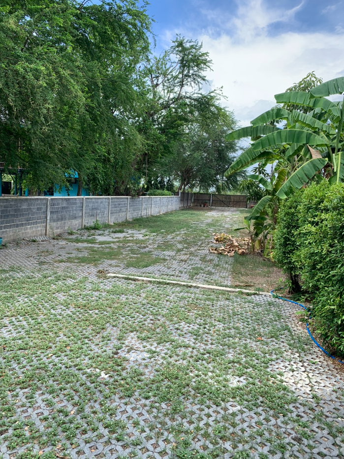 รูป ให้เช่ากิจการรีสอร์ท บ้าน 2 หลัง  บางไทร อยุธยา รวมที่ดินทั้งหมด 627  ตรว บรรยากาศริมน้ำ  พร้อมดำเนินกิจการต่อ - รูปที่ 58/63