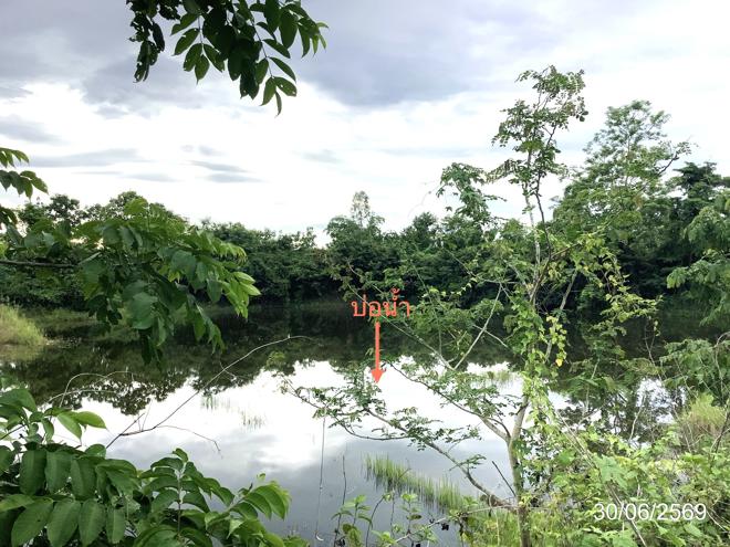 picture LAND 6268.9 Sq.w. Muang Kamphaeng Phet Kamphaeng Phet for 6.1M - 9/25