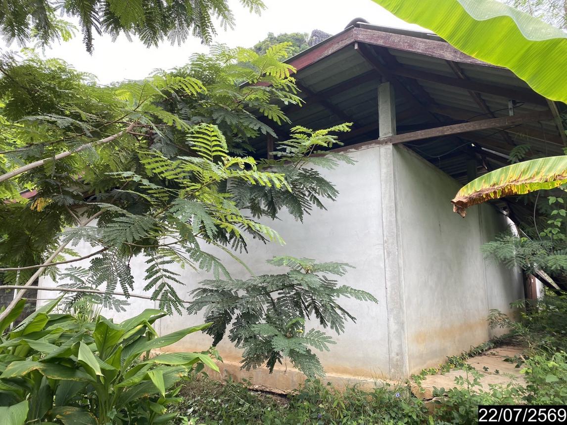 picture HOME 336 Sq.w. Wang Saphung Loei for 928,000 - 12/23