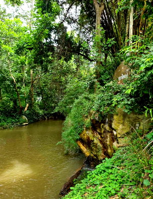 ที่ดิน ปากช่อง โคราช :  ขายที่ดินติดน้ำเขาใหญ่ หมูสี ที่ดินริมน้ำสวยมาก 168 ตร.ว ติดลำตะคอง ใกล้น้ำผุดบ้านท่าช้าง น้ำไหลเย็นสบายเห็นวิวเขาร่มรื่นบรรยากาศดีมาก ใกล้ธนะรัชต์