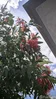 listing thumbnail image 44