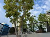 listing thumbnail image 22