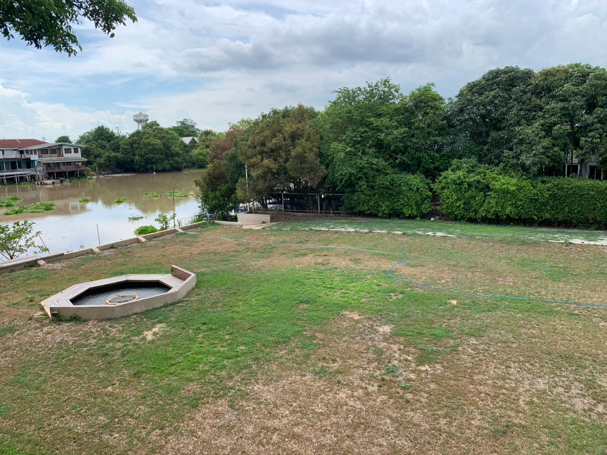 รูป ให้เช่ากิจการรีสอร์ท บ้าน 2 หลัง  บางไทร อยุธยา รวมที่ดินทั้งหมด 627  ตรว บรรยากาศริมน้ำ  พร้อมดำเนินกิจการต่อ - รูปที่ 59/63