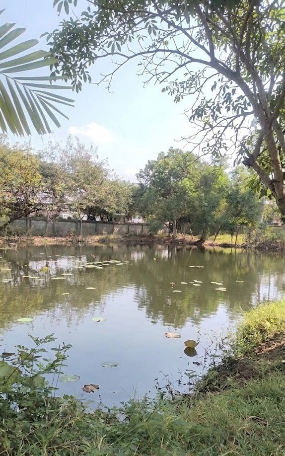 picture Development Land Thepharak Km.11, Samut Prakan ðĨ Special price available until the end of 2026 only. - 5/10