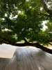 listing thumbnail image 53