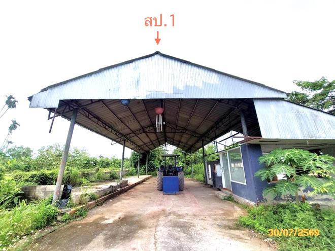 picture FACTORY 622.6 Sq.w. Muang Surat Thani Surat Thani for 2.7M - 6/25