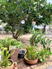 listing thumbnail image 3