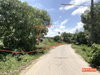 listing thumbnail image 23