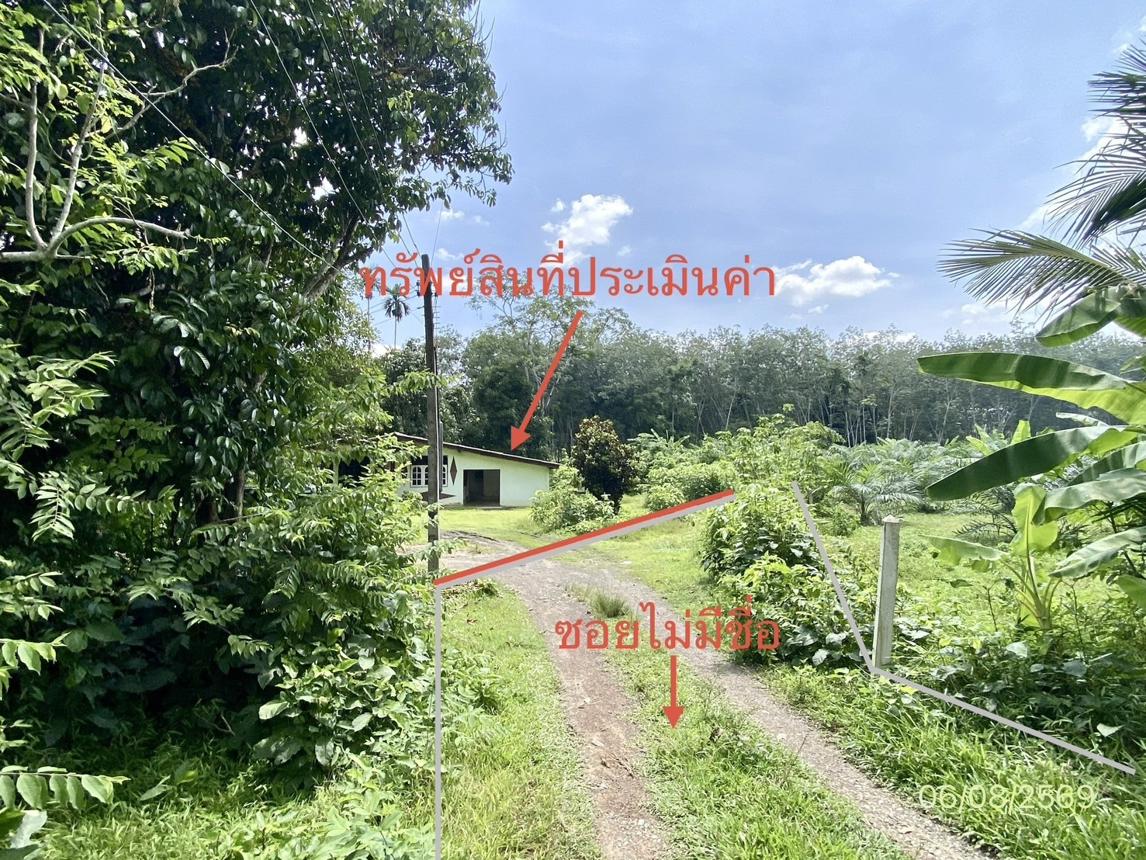picture HOME 461.5 Sq.w. Na Yong Trang for 934,000 - 31/35