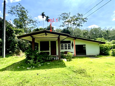 Houses for sale Na Yong Trang : HOME 461.5 Sq.w. Na Yong Trang for 934,000