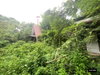 listing thumbnail image 24