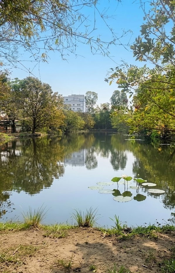 picture Development Land Thepharak Km.11, Samut Prakan ðĨ Special price available until the end of 2026 only. - 2/10