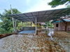 listing thumbnail image 42