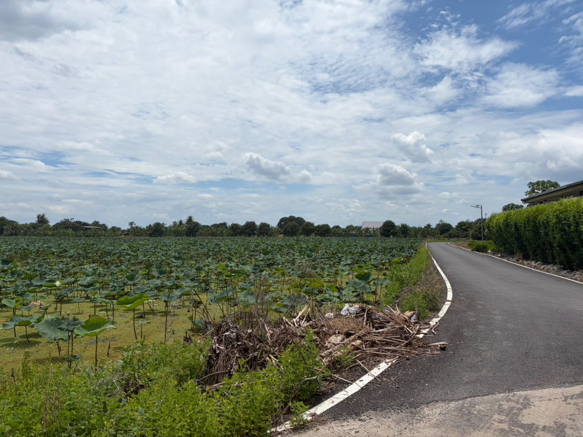 รูป 🌿 ขายที่ดิน 3 ไร่ ทำเลบางกรวย จ.นนทบุรี 🌿(พื้นที่สีเขียว) - รูปที่ 2/6
