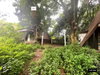 listing thumbnail image 21
