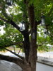 listing thumbnail image 52