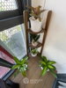 listing thumbnail image 35