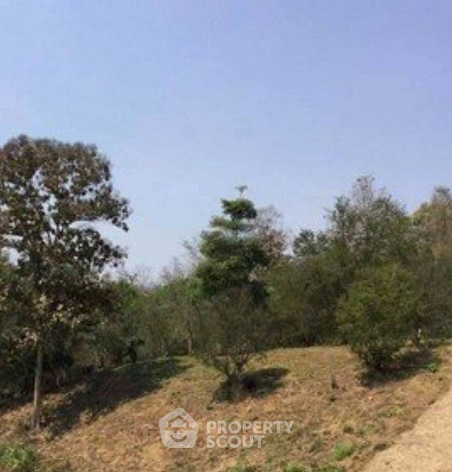 รูป ขายที่ดิน 9 ล้านบาท ในป่าเมี่ยง ดอยสะเก็ด เชียงใหม่ (ID 3297502) - รูปที่ 3/4