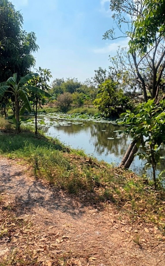 picture Development Land Thepharak Km.11, Samut Prakan ðĨ Special price available until the end of 2026 only. - 7/10