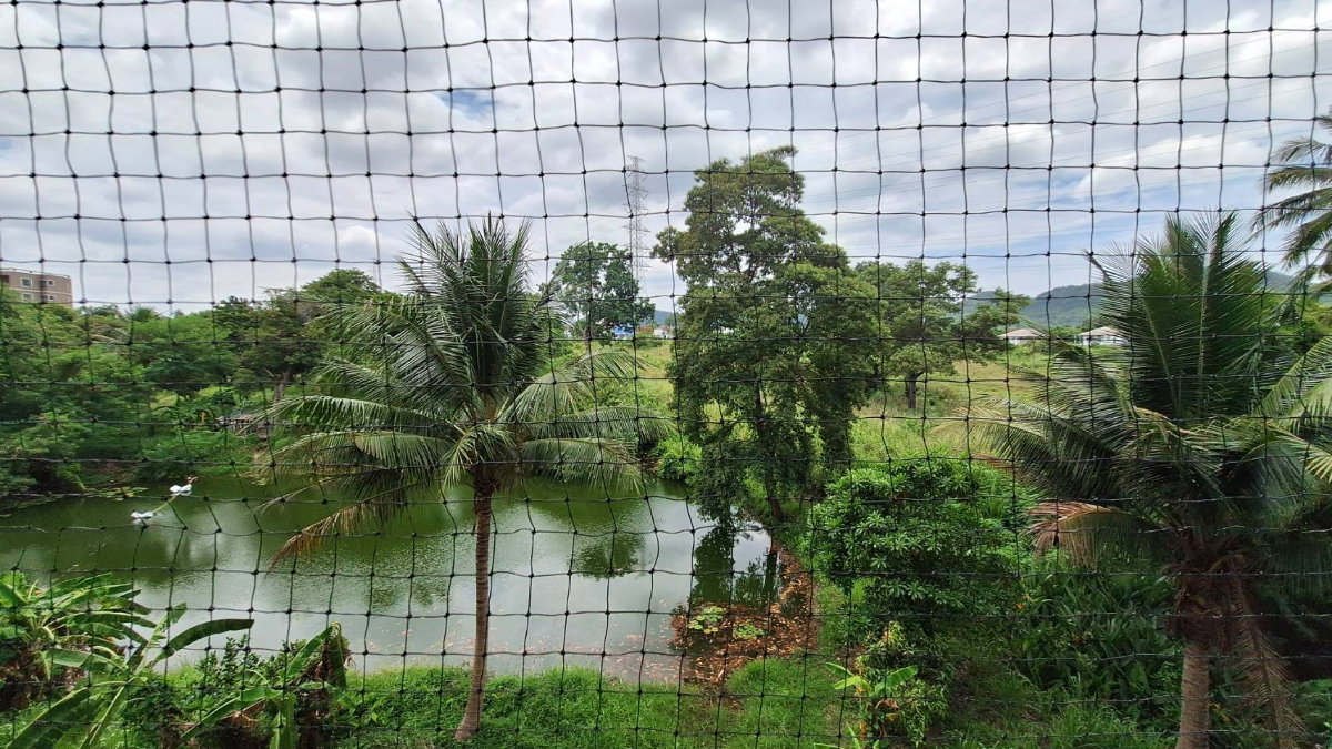 picture Green Lake Condo Sriracha for Sale 49 Sq.M. - 13/22