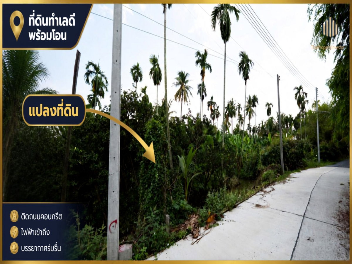 รูป ขายที่ดิน สวนส้มโอ สามพราน นครปฐมท ำเลน่าเก็บ! พื้นที่ 1 ไร่ 3 งาน 97 ตร.วา เหมาะสำหรับต่อยอดผลผลิต ปลูกบ้านสวน ใกล้เซ็นทรัลศาลายา | #TPI-3454 - รูปที่ 7/12