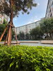 listing thumbnail image 9