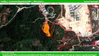 listing thumbnail image 7