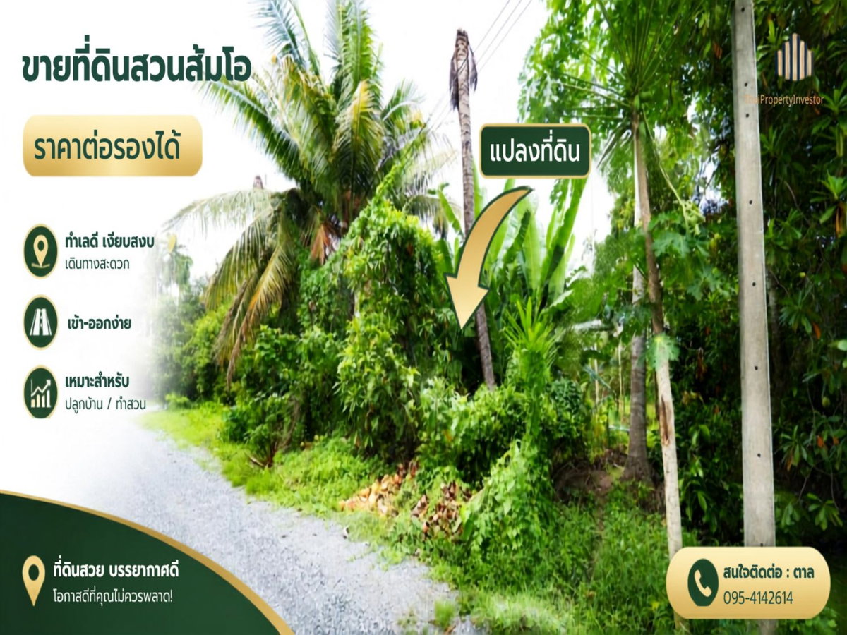 รูป ขายที่ดิน สวนส้มโอ สามพราน นครปฐมท ำเลน่าเก็บ! พื้นที่ 1 ไร่ 3 งาน 97 ตร.วา เหมาะสำหรับต่อยอดผลผลิต ปลูกบ้านสวน ใกล้เซ็นทรัลศาลายา | #TPI-3454 - รูปที่ 6/12