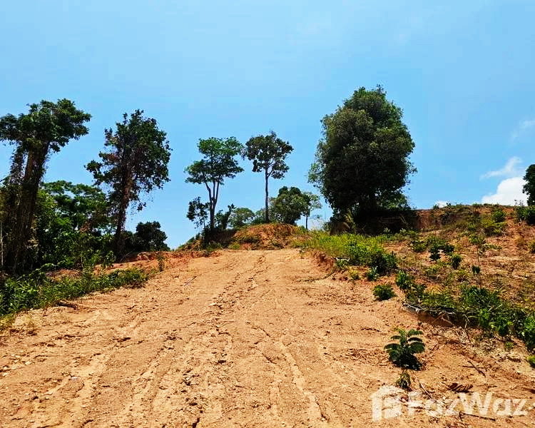 รูป ขายที่ดินภูเก็ตทำเลเด็ดทำบ้านหรูขาย 21-1-35.7 ไร่ แปลงเด่น  กะทู้-ป่าตอง เส้นข้างหมู่บ้านเดอะแพลนท์ กะทู้-ป่าตอง ไม่แพงสร้างที่พักอาศัย เช่า ขาย สบาย  - รูปที่ 13/17