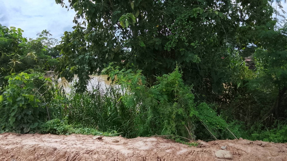 picture Land for Sal 3 rai 378.5 sqw Sukhothai - 2/8
