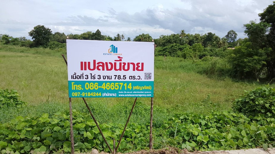 picture Land for Sal 3 rai 378.5 sqw Sukhothai - 7/8