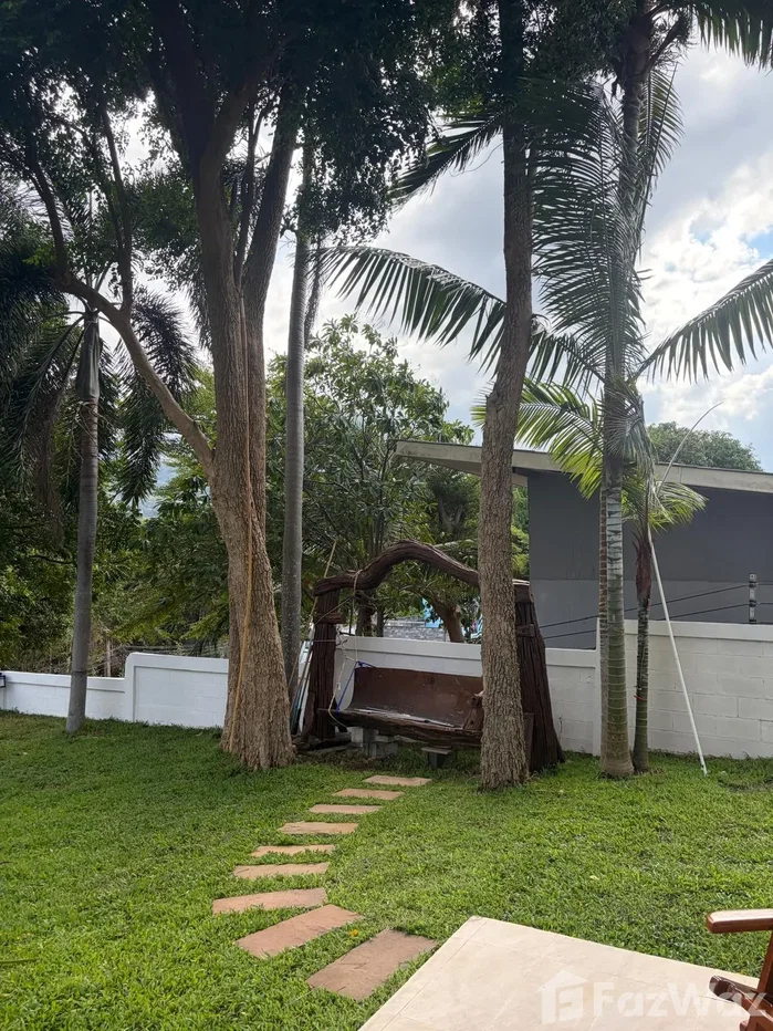 picture 2 Bedroom House for rent in Bo Phut, Surat Thani  6766964 - 25/28