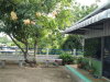 listing thumbnail image 10