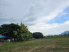 listing thumbnail image 27