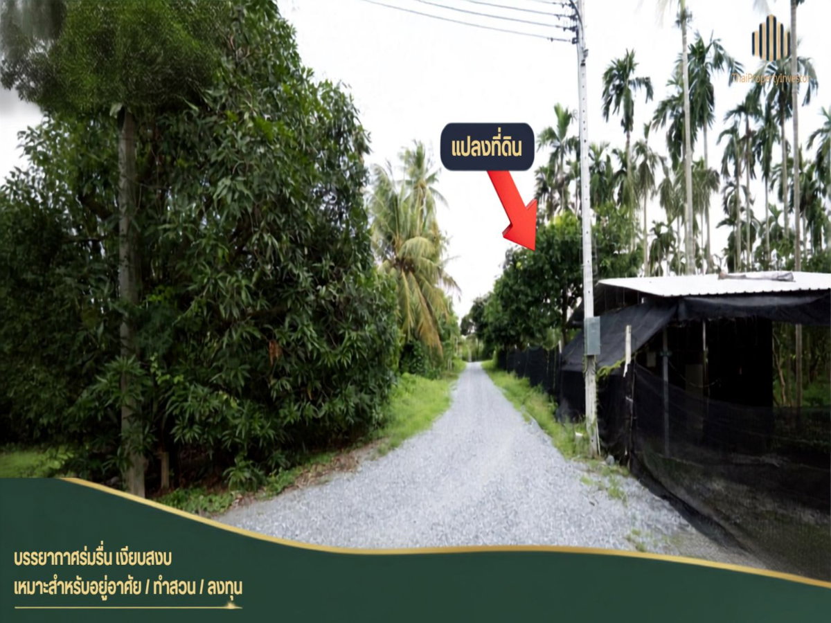 รูป ขายที่ดิน สวนส้มโอ สามพราน นครปฐมท ำเลน่าเก็บ! พื้นที่ 1 ไร่ 3 งาน 97 ตร.วา เหมาะสำหรับต่อยอดผลผลิต ปลูกบ้านสวน ใกล้เซ็นทรัลศาลายา | #TPI-3454 - รูปที่ 5/12