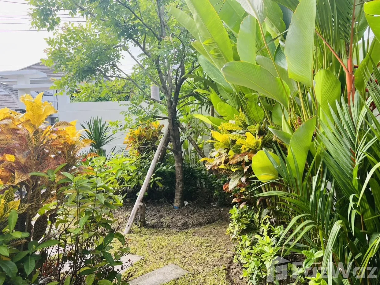 picture PRIVATE DETACHED HOUSE FOR SALE & RENT Chalong 6768399 - 25/30