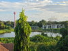 listing thumbnail image 11