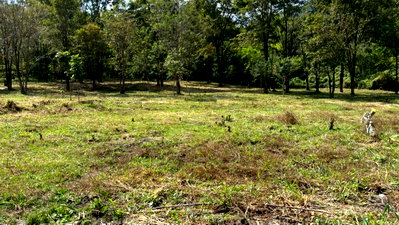 Land for sale Si Racha Chonburi : Land for sale in Bang Phra, Chonburi, adjacent to the Bang Saen Motorway suitable for project development.