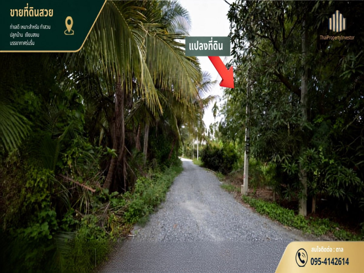 รูป ขายที่ดิน สวนส้มโอ สามพราน นครปฐมท ำเลน่าเก็บ! พื้นที่ 1 ไร่ 3 งาน 97 ตร.วา เหมาะสำหรับต่อยอดผลผลิต ปลูกบ้านสวน ใกล้เซ็นทรัลศาลายา | #TPI-3454 - รูปที่ 4/12