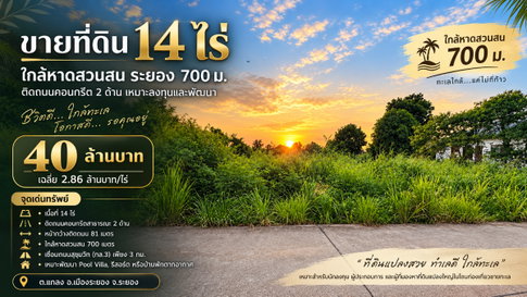 ขายที่ดินเสมอถนน ไม่ต้องถม 14 ไร่ ใกล้หาดสวนสน ระยอง 700 m ติดถนนคอนกรีต 2 ด้าน ไฟฟ้า–ประปาพร้อม
