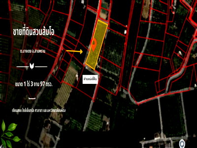 Land for sale Nakhon Pathom : Beautiful Pomelo Orchard Land for Sale  Beautiful land with an existing pomelo orchard, totaling 1 Rai 3 Ngan 97 Sq.Wah | #TPI-3454