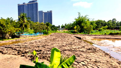 ที่ดิน กระทรวงพาณิชย์ นนทบุรี : ขายที่ดินแปลงสวย 1-2-72 ไร่ ซ.ไทรม้า นนทบุรี ใกล้แม่น้ำเจ้าพระยา & MRT ไทรม้า รูปแปลงสี่เหลี่ยมสวย ถมแล้วบางส่วน เหมาะสร้างบ้านหรู / โฮมออฟฟิศ / คาเฟ่