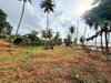 listing thumbnail image 23