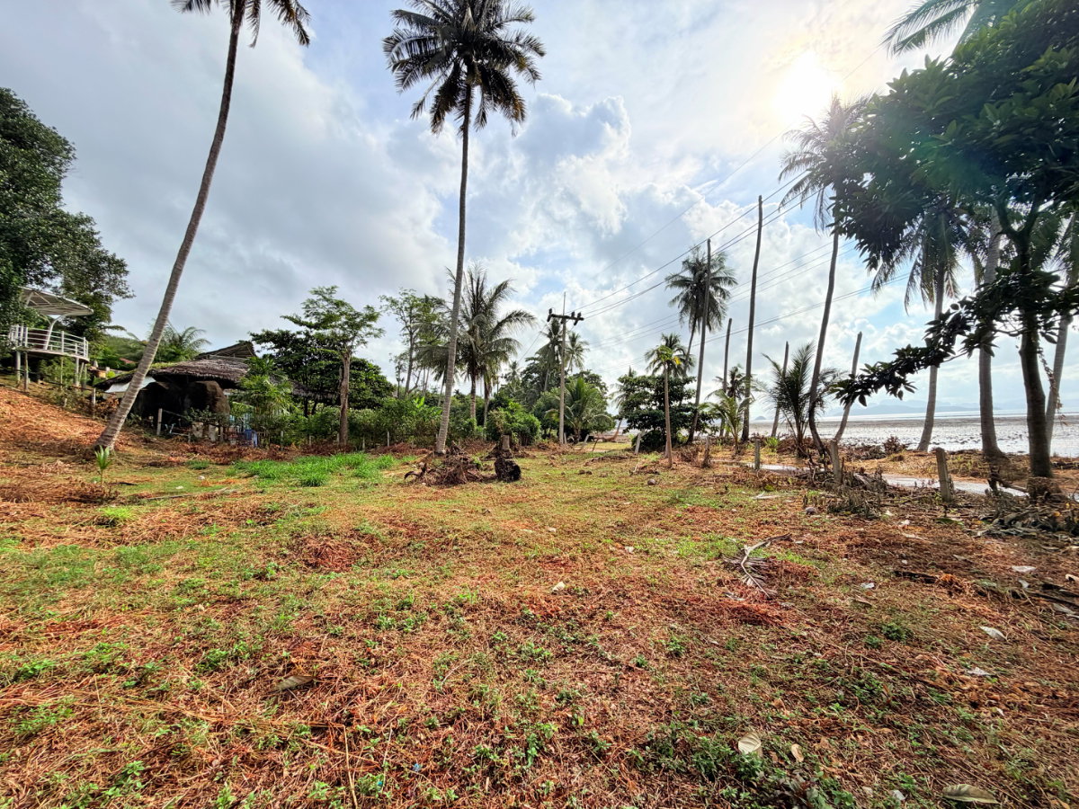 รูป ที่ดินติดชายหาดเกาะยาวน้อย พร้อมขาย - รูปที่ 24/32