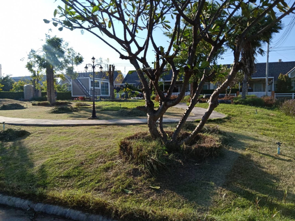 รูป ด่วน!! ขายที่ดิน 53.9 ตร.ว. ใกล้เขาใหญ่ อากาศดี วิวสวย - รูปที่ 4/7