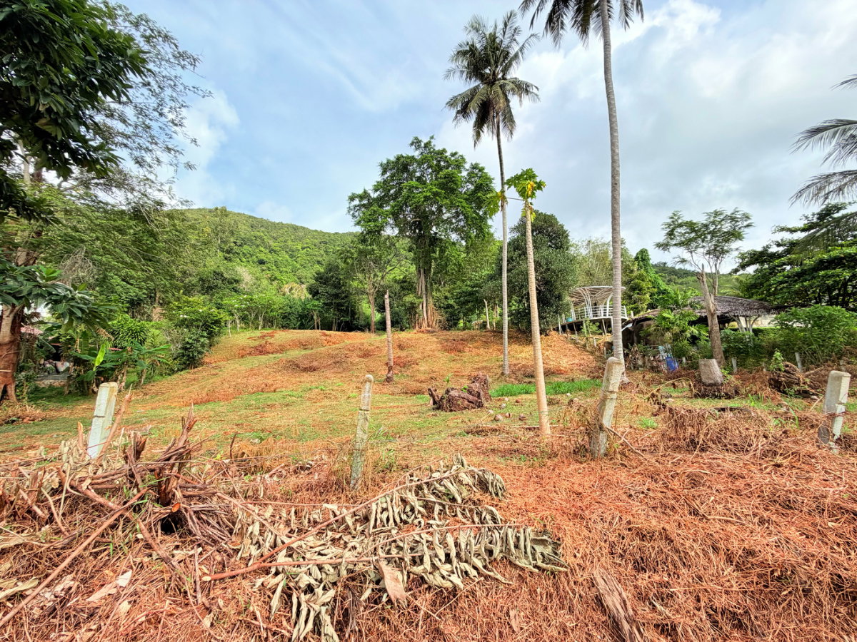 รูป ที่ดินติดชายหาดเกาะยาวน้อย พร้อมขาย - รูปที่ 13/32