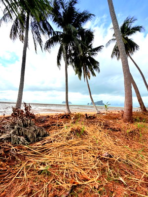 ที่ดิน เกาะยาว พังงา : ที่ดินติดชายหาดเกาะยาวน้อย พร้อมขาย