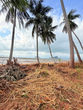ที่ดินติดชายหาดเกาะยาวน้อย พร้อมขาย
